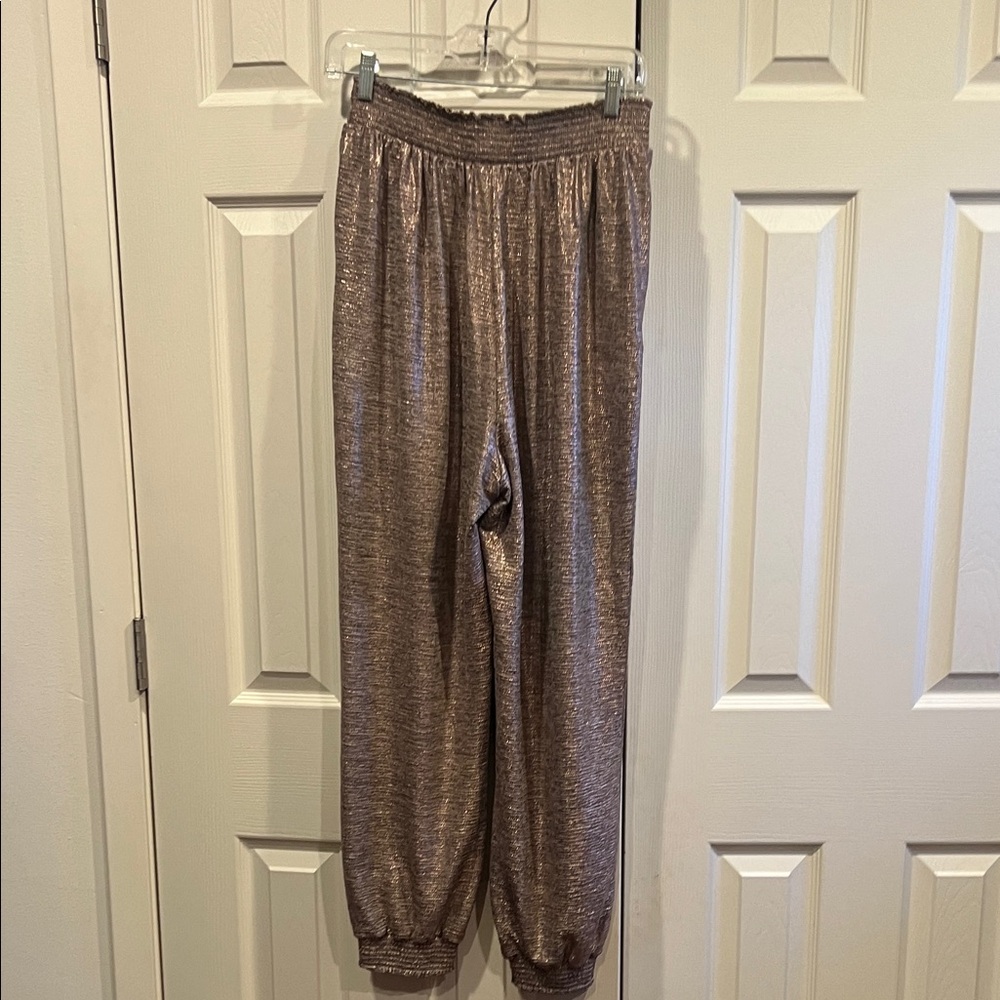 Anthropologie Textured Shimmer Genie pants/joggers - Picture 8 of 9